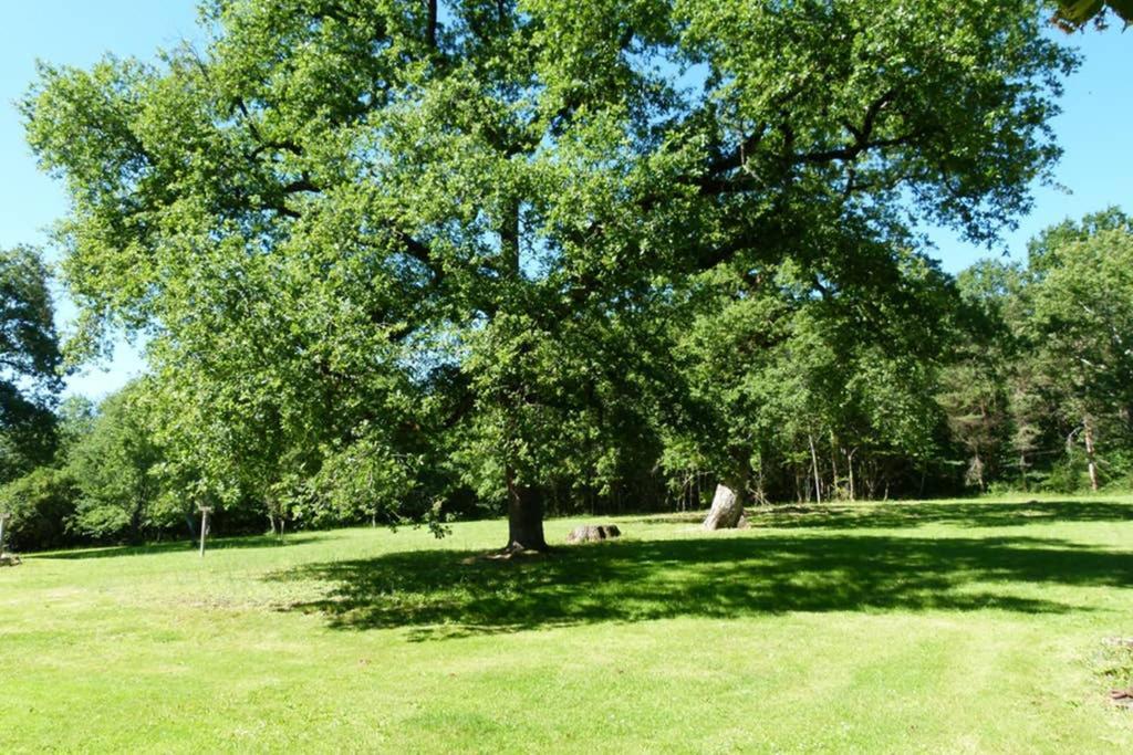 Gite En Brenne Les Chenes Merigny Kültér fotó